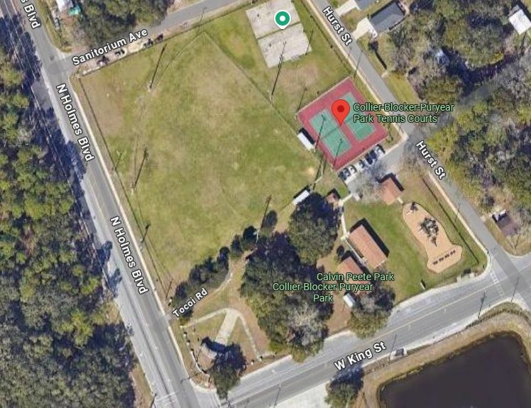 Satellite map of Collier-Blocker-Puryear Park
